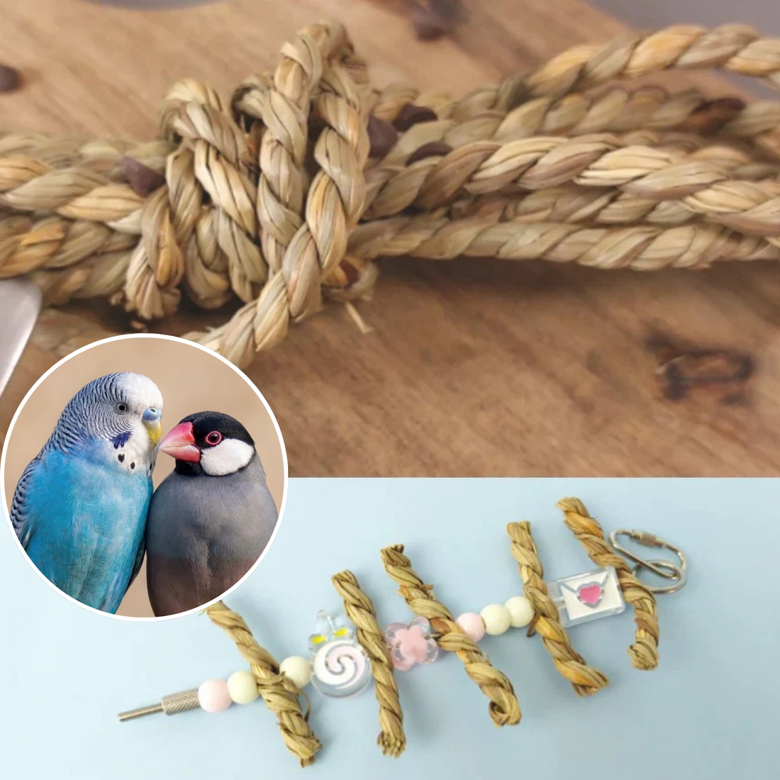【1m入り】無農薬の水草ロープ、文鳥・インコ用かじりおもちゃ「ガマツイスト」セキセイインコもOK