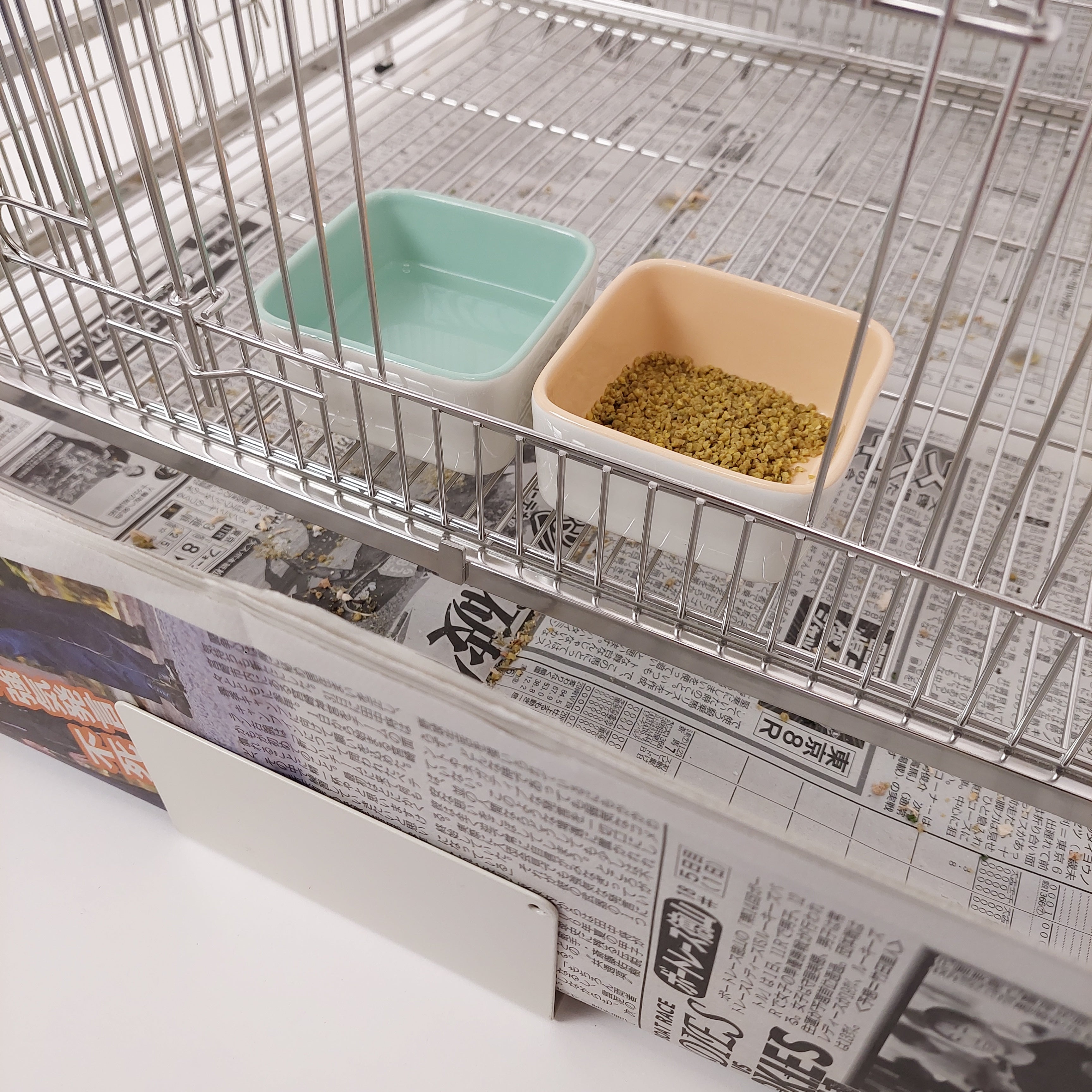 58X91cm,日本初,新聞紙1枚抜けば掃除完了「ステンレス10秒ケージ 」特許拾得の大きい鳥ケージ, おしゃれな大型ケージ,掃除しやすい,オカメインコ,ウロコインコ,コザクラインコ