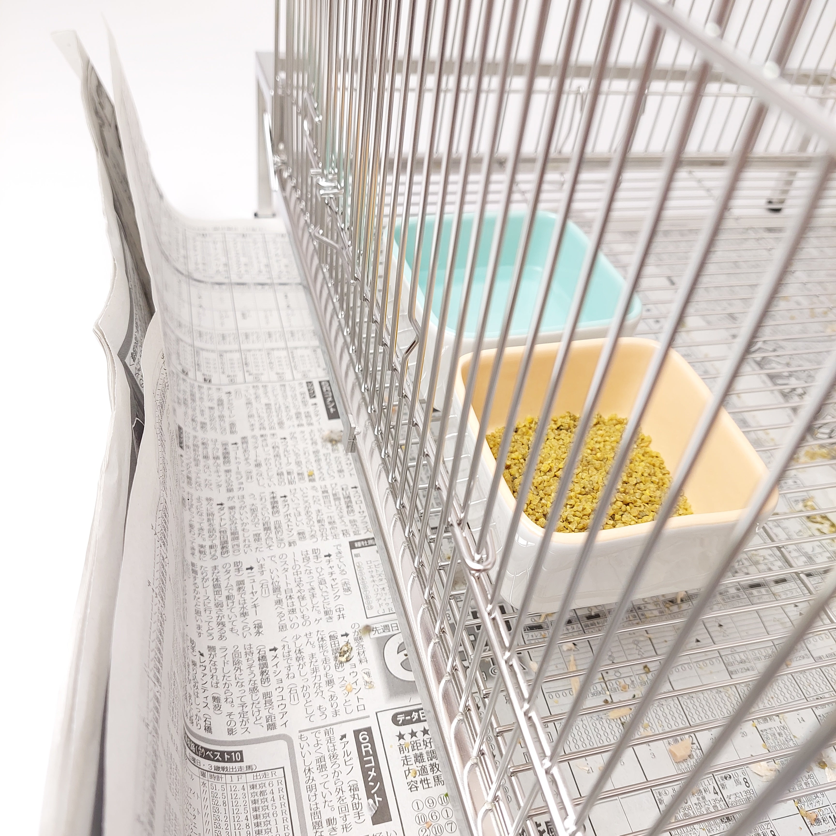 58X91cm,日本初,新聞紙1枚抜けば掃除完了「ステンレス10秒ケージ 」特許拾得の大きい鳥ケージ, おしゃれな大型ケージ,掃除しやすい,オカメインコ,ウロコインコ,コザクラインコ