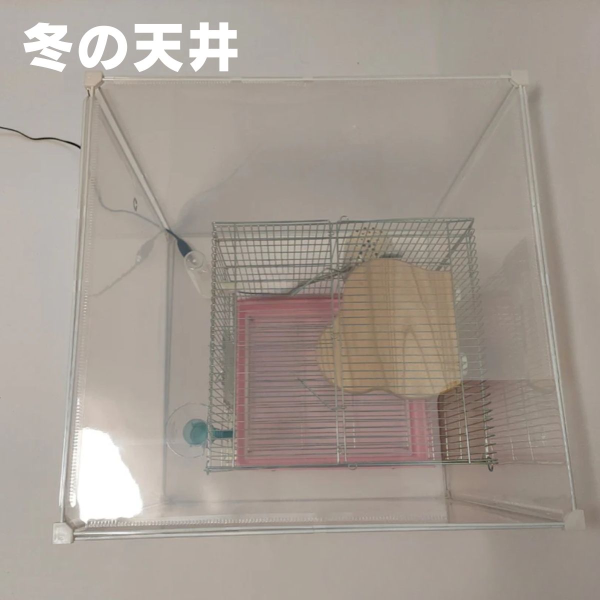 冬もポカポカに!インコケージの温湿度管理ケース,インコケージカバー、「快適保くん」62X62X62cm(アクリルケージの代用)インコケース, 鳥ケージケース,インコヒーター用)