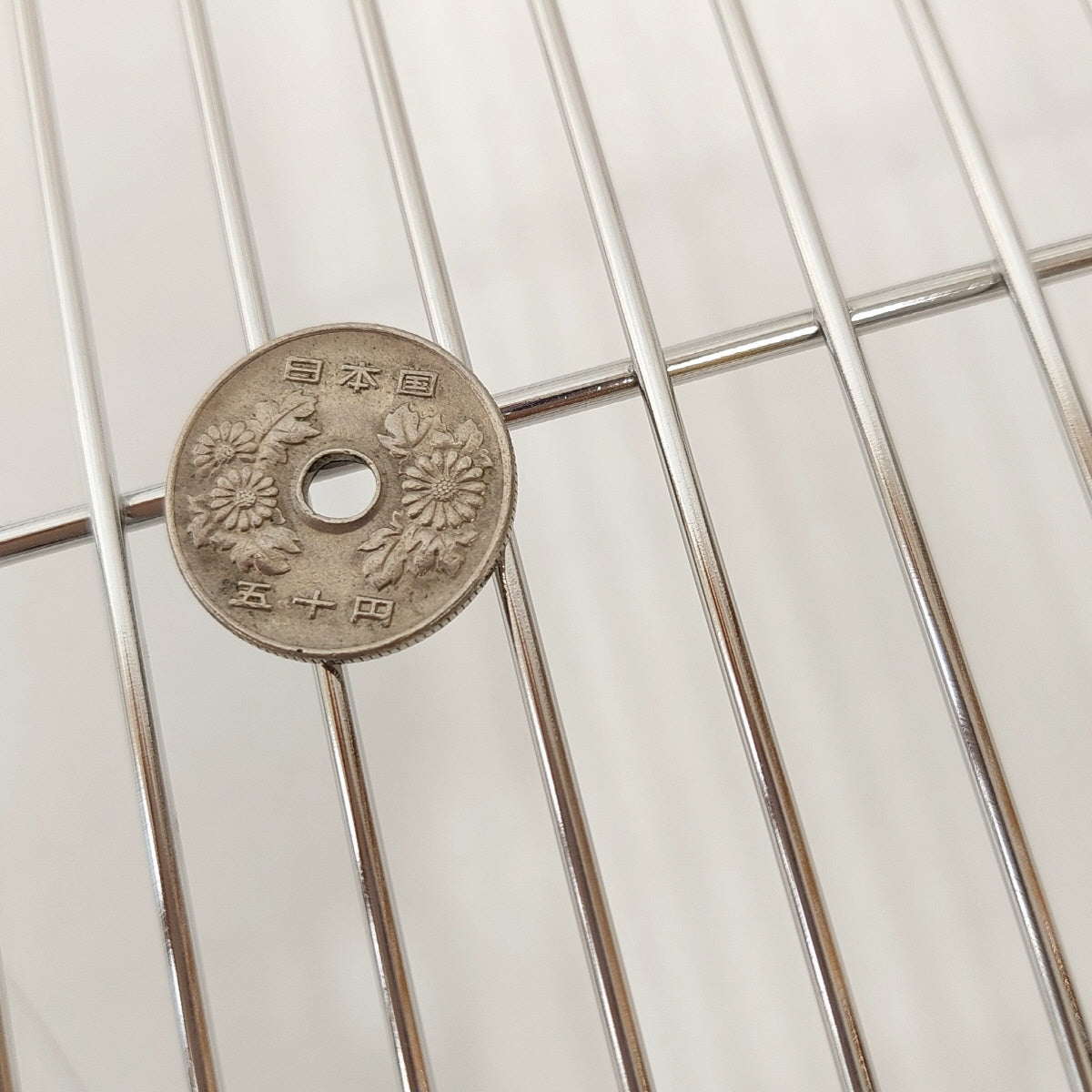 58X91cm,日本初,新聞紙1枚抜けば掃除完了「ステンレス10秒ケージ 」特許拾得の大きい鳥ケージ, おしゃれな大型ケージ,掃除しやすい,オカメインコ,ウロコインコ,コザクラインコ