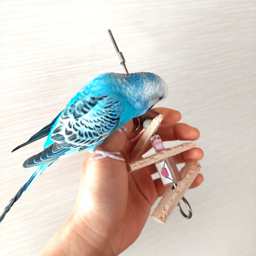 【4個】文鳥・セキセイインコが大好き、無毒性ソフトインコおもちゃ、かじり木パーツ「カジカジバルサチップ」,鳥おもちゃ