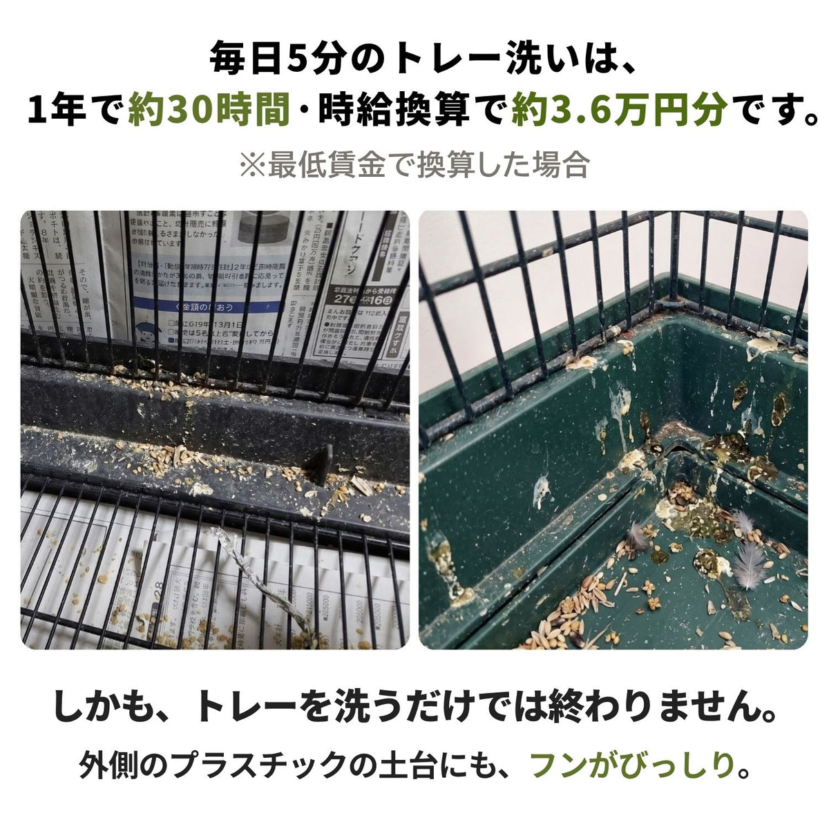 送料無料【日本初】トレー洗い不要！ステンレス製インコケージ「サッポイ」 本体幅45cm／土台幅59cm、文鳥用にも使える鳥かご
