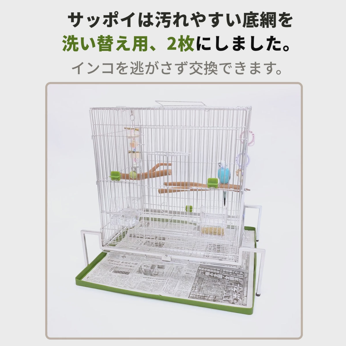 送料無料【日本初】トレー洗い不要！ステンレス製インコケージ「サッポイ」 本体幅45cm／土台幅59cm、文鳥用にも使える鳥かご