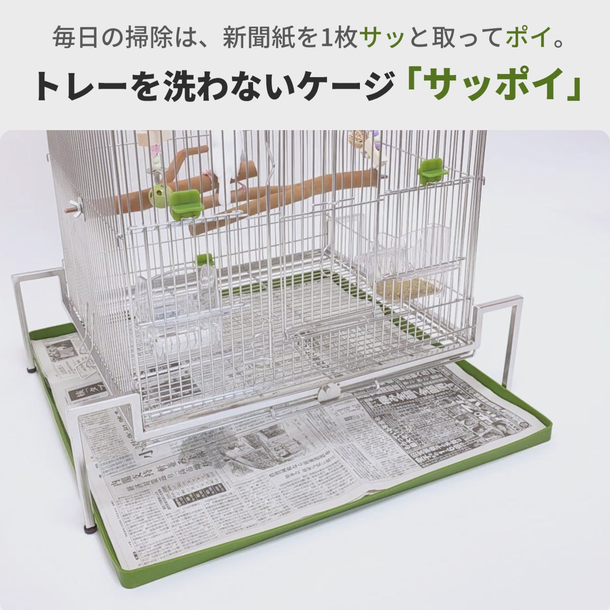 送料無料【日本初】トレー洗い不要！ステンレス製インコケージ「サッポイ」 本体幅45cm／土台幅59cm、文鳥用にも使える鳥かご