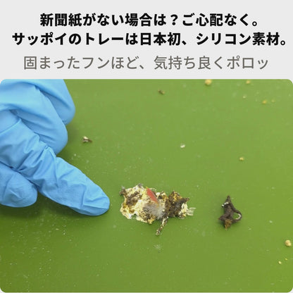 送料無料【日本初】トレー洗い不要！ステンレス製インコケージ「サッポイ」 本体幅45cm／土台幅59cm、文鳥用にも使える鳥かご